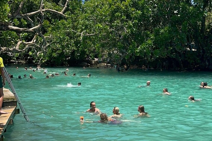 Efate Island Tour – Village, Turtles, Blue Lagoon & Eden River