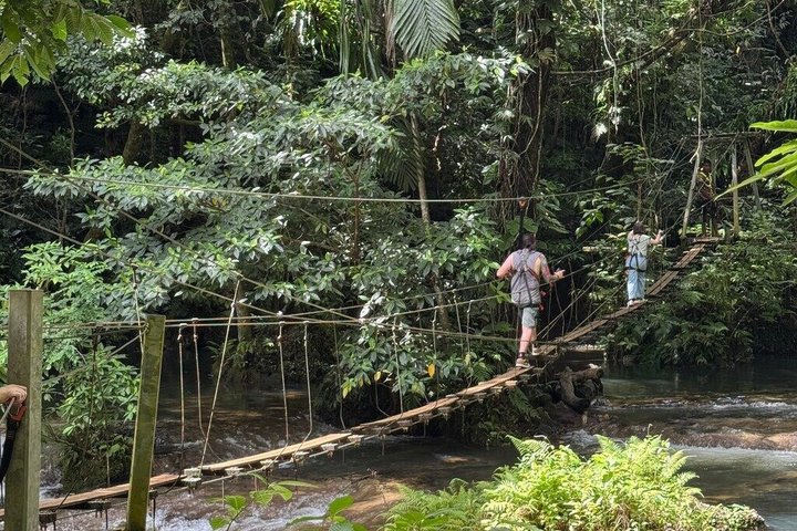 Efate Island Tour – Village, Turtles, Blue Lagoon & Eden River