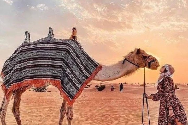 Dubai Desert Safari Adventure