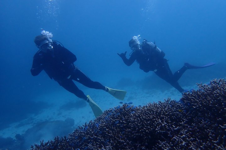 Diving experience on Ishigaki Island - including equipment rental - Shower available - Photo gift -