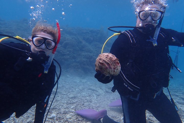 Diving experience on Ishigaki Island - including equipment rental - Shower available - Photo gift -