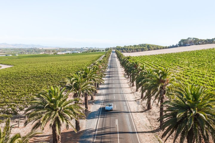 Ultimate Barossa Adventure Day Tour For 2 - Combined Mustang Convertible-Trike