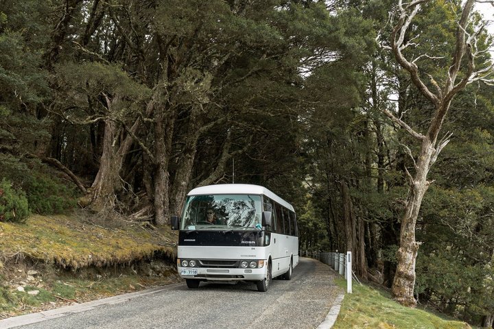 Cradle Mountain Half Day Park Explorer Tour with Lunch