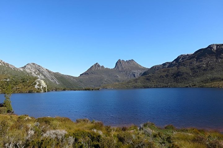 Cradle Mountain Half Day Park Explorer Tour with Lunch