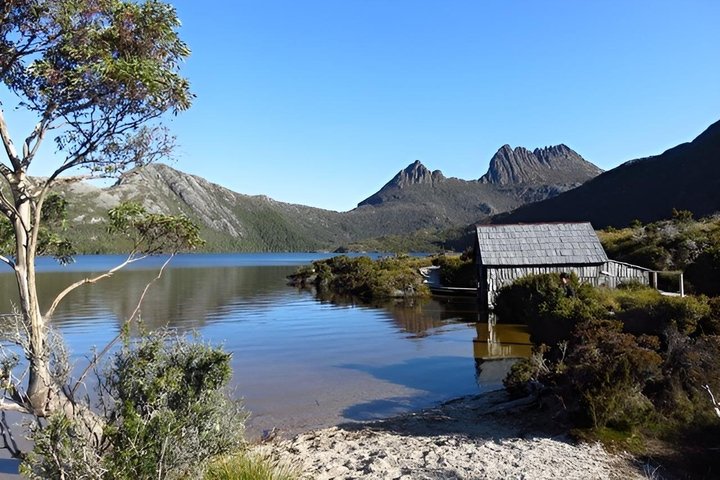 Cradle Mountain Half Day Park Explorer Tour with Lunch