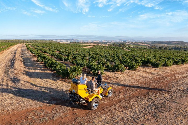 Unique Trike Barossa Valley Half Day Private Tour For 2