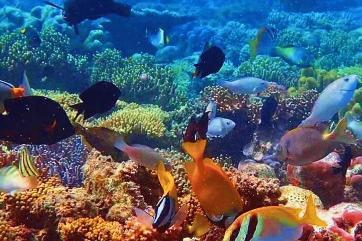 Coron: Ultimate Pukaway Cave, Siete Pecados, beaches with lunch