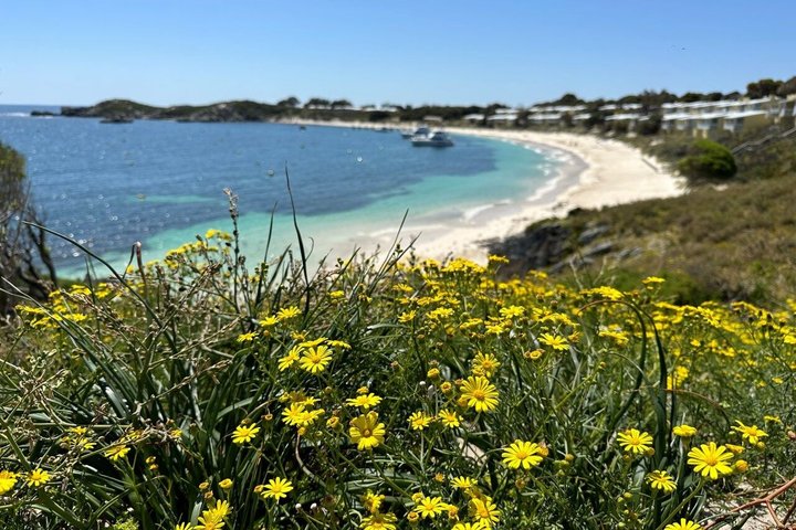 Rottnest Island Roundtrip Fast Ferry from Hillarys Boat Harbour