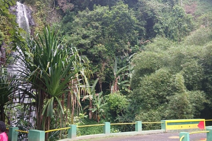 Transport/pickup service to and from Sao Tome Airport