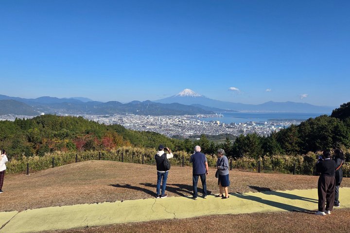 Short Tour to View Mt. Fuji from Various Angles from Shimizu Port