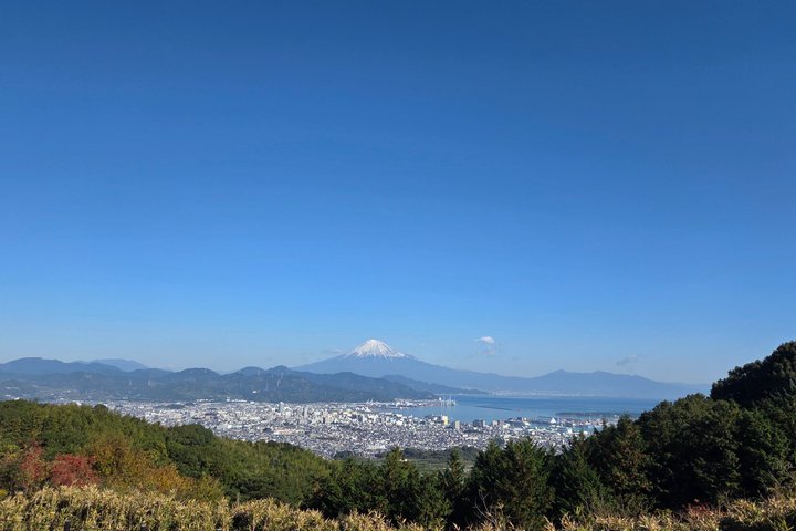 Short Tour to View Mt. Fuji from Various Angles from Shimizu Port