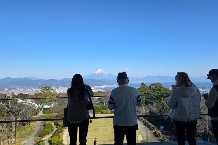 Short Tour to View Mt. Fuji from Various Angles from Shimizu Port