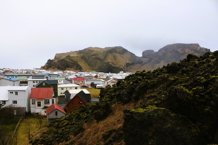 Westman Islands Volcano and World Largest Puffin Colony Tour