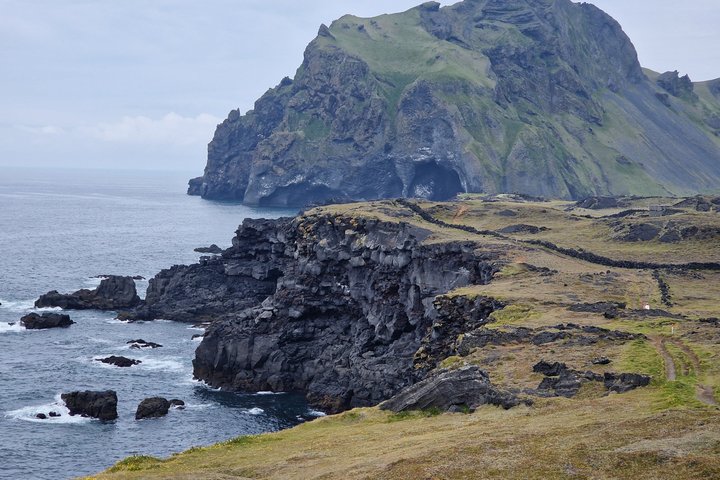 Westman Islands Volcano and World Largest Puffin Colony Tour