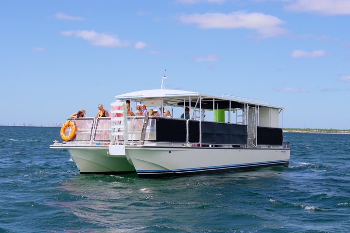 Dolphin & Sightseeing Cruise in Panama City Beach (1.5 hours)