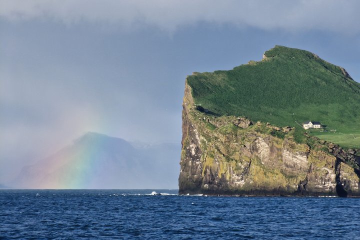Westman Islands Volcano and World Largest Puffin Colony Tour