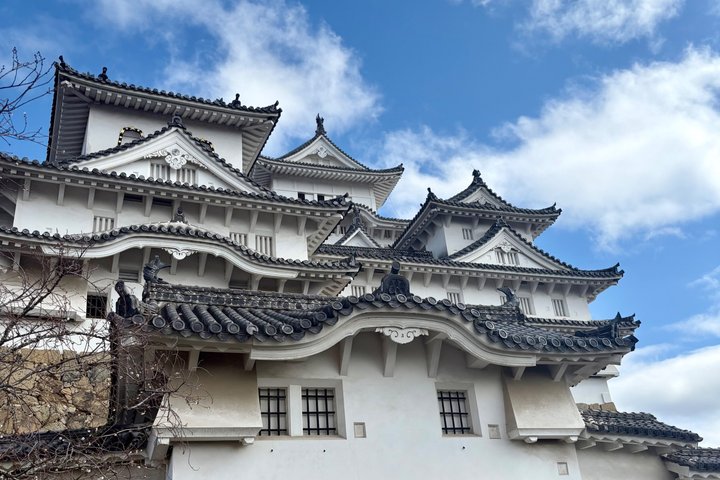 Himeji Castle tour with a Local University Student Guide