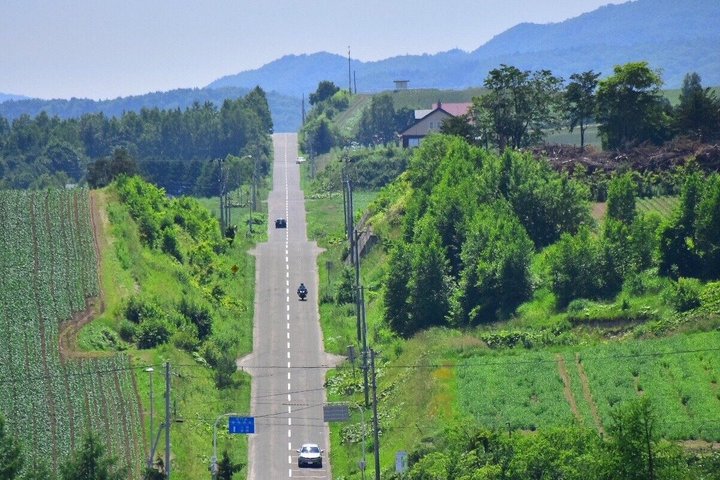 Hokkaido: Biei Blue Pond and Furano Flower Farm Day Trip