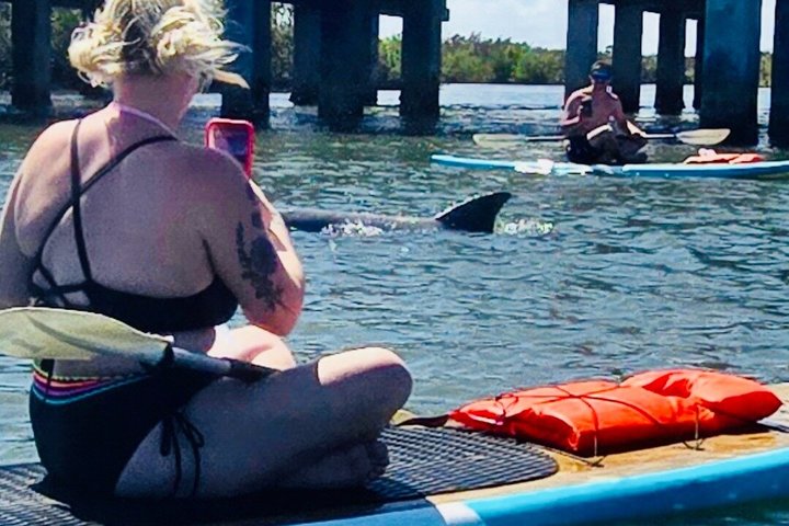 Dolphin and Manatee Adventure Tour of Merritt Island