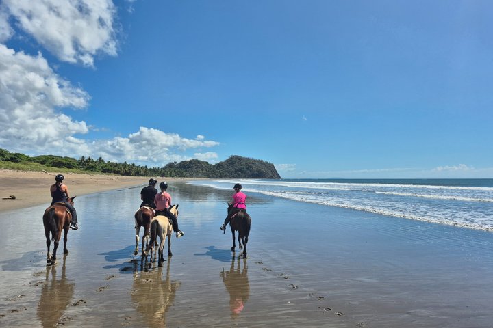 Jungle and Beach Horseback Riding Tour - 2H 1/2