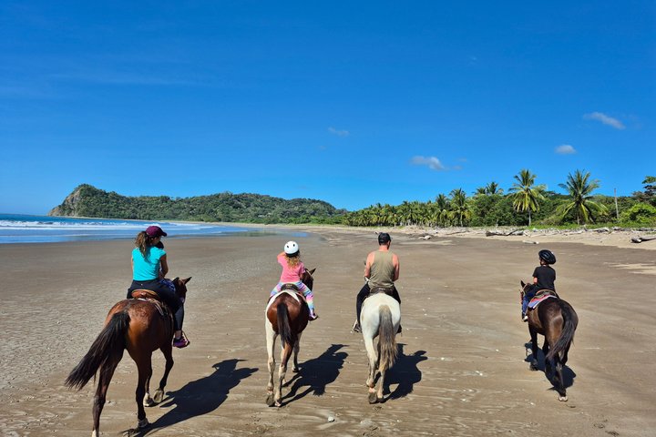 Jungle and Beach Horseback Riding Tour - 2H 1/2