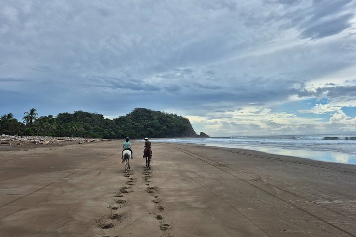 Jungle and Beach Horseback Riding Tour - 2H 1/2