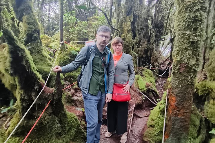Cameron Highlands Fullday Discovery Package B Shared Tour