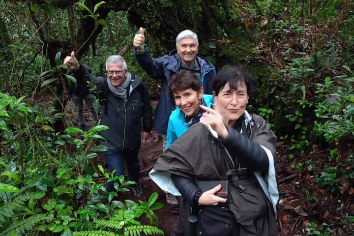 Cameron Highlands Fullday Discovery Package B Shared Tour
