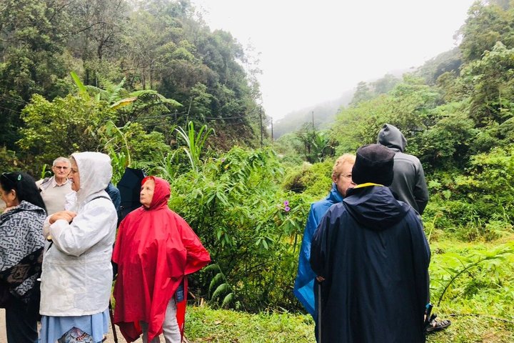 Cameron Highlands Fullday Discovery Package B Shared Tour