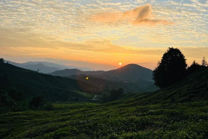 Cameron Sunrise Package Discovery Halfday Shared Tour