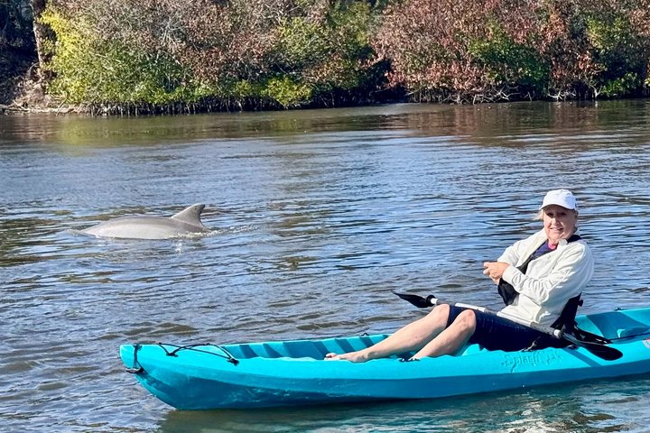 Daytona Beach Dolphin & Manatee Kayak Wildlife Adventure
