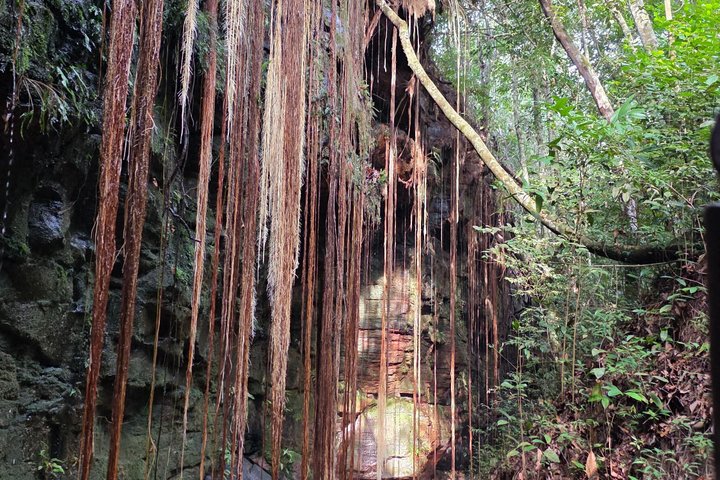 3 Day Jalapão Adventure from Palmas