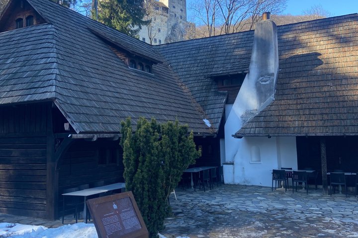 One day trip Bear Sanctuary, Dracula Castle, Rasnov Fortress from Brasov