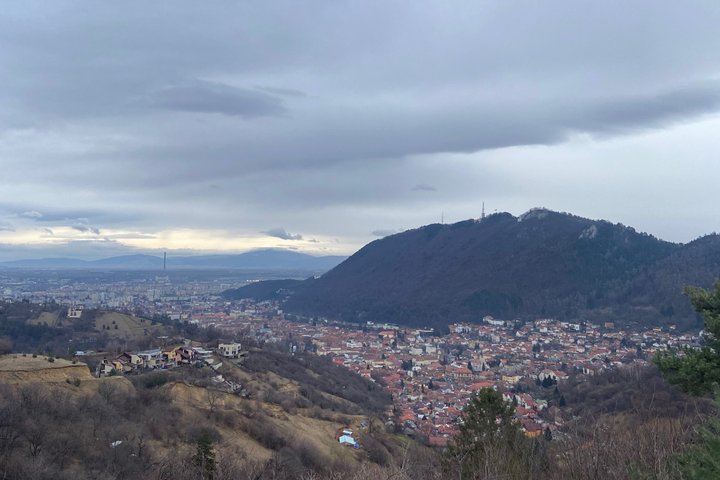 One day trip Bear Sanctuary, Dracula Castle, Rasnov Fortress from Brasov