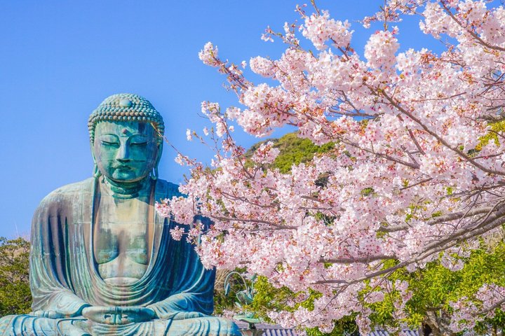 Day Trip Kamakura from Tokyo with National Licensed Guide