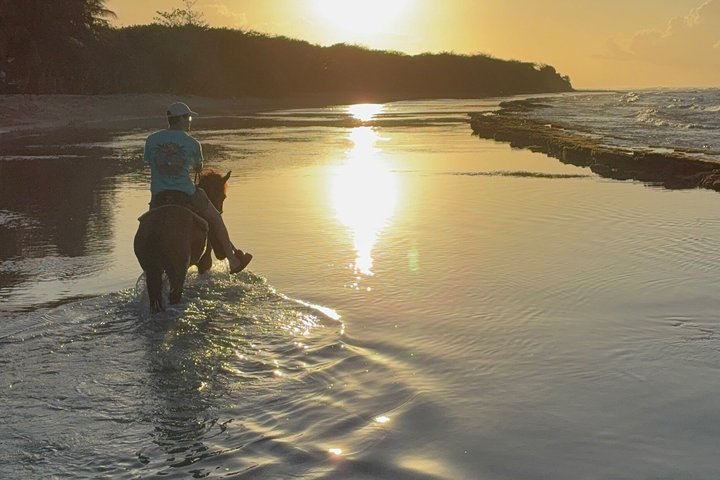 Horseback Riding on Vieques Beach