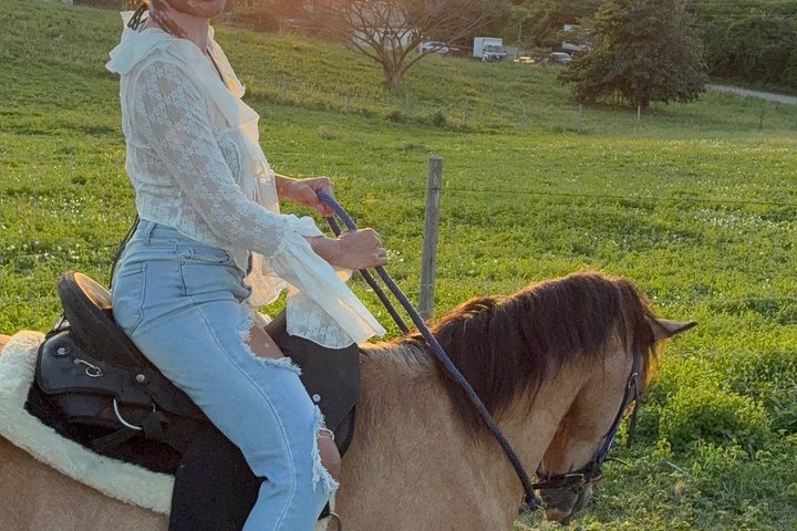 Horseback Riding on Vieques Beach