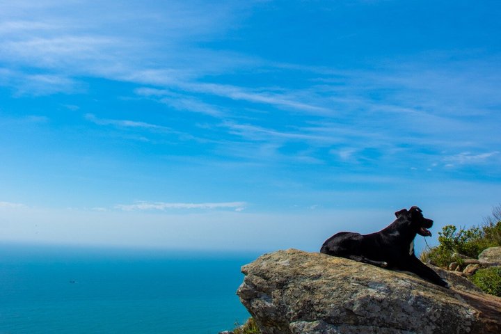 East Lake Trail and Morro da Coroa with photo session