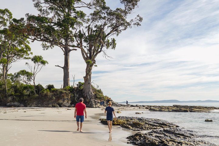 Bruny Island Full Day Tour inc Exclusive Lighthouse Tour