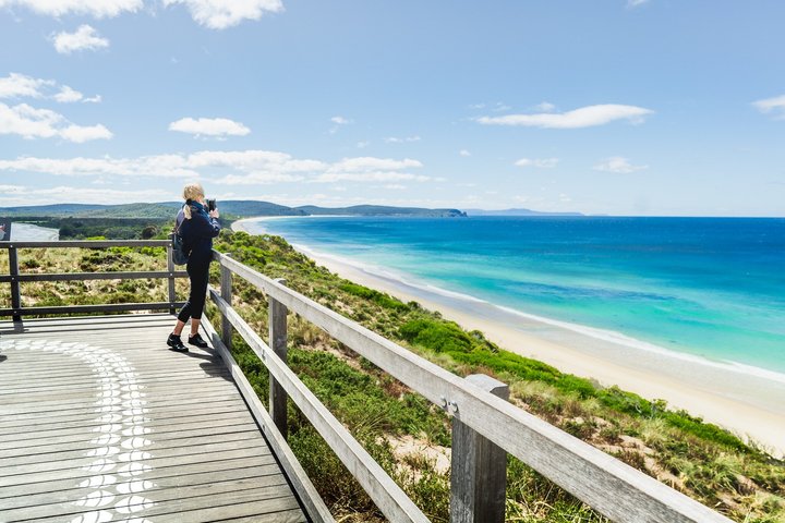 Bruny Island Full Day Tour inc Exclusive Lighthouse Tour