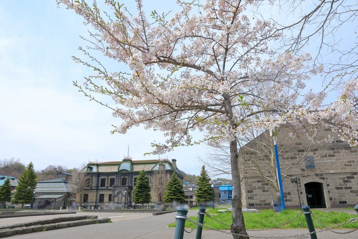 Private Customizable walking Tour in Otaru