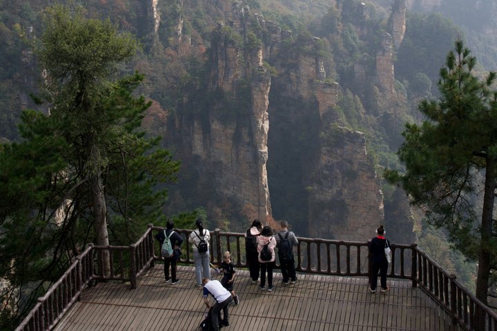 Private Day Tour Zhangjiajie National Forest Park Avatar Mountain