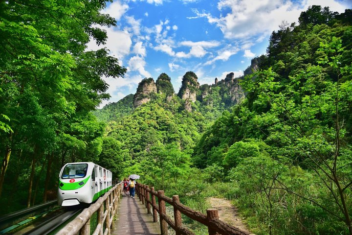 Private Day Tour Zhangjiajie National Forest Park Avatar Mountain