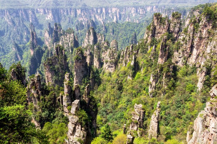 Private Day Tour Zhangjiajie National Forest Park Avatar Mountain