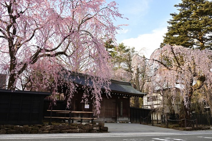 Akita: Private Guided Tour with Optional Kakunodate Visit