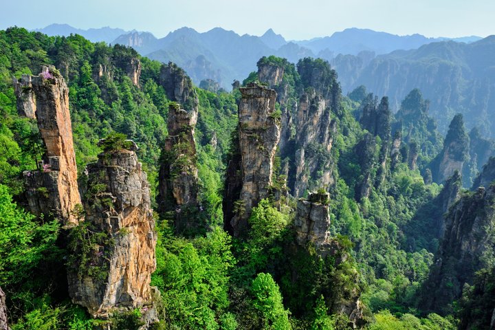 Private Day Tour Zhangjiajie National Forest Park Avatar Mountain