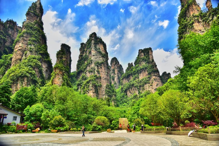 Private Day Tour Zhangjiajie National Forest Park Avatar Mountain