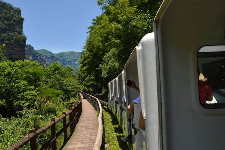 Private Day Tour Zhangjiajie National Forest Park Avatar Mountain