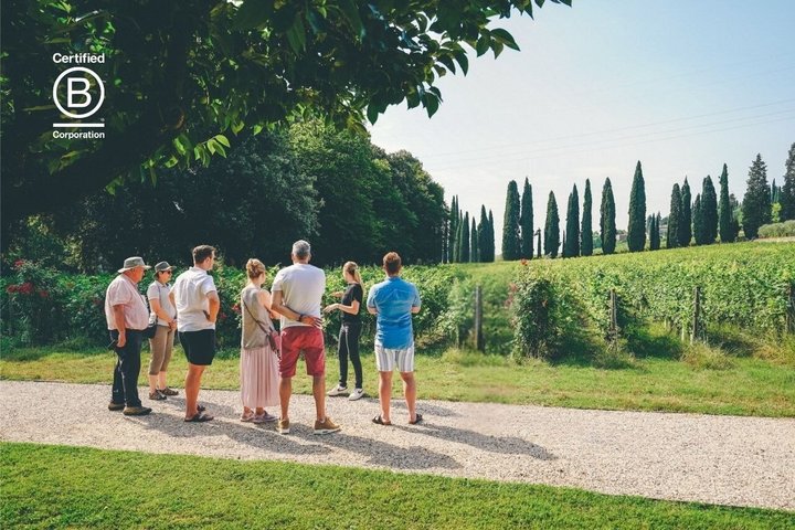 Amarone Wine Tasting Tour from Verona with Private Transportation
