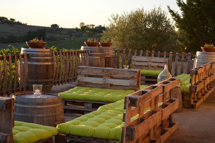 Organic Wine Tasting and Local Food with View near Rimini